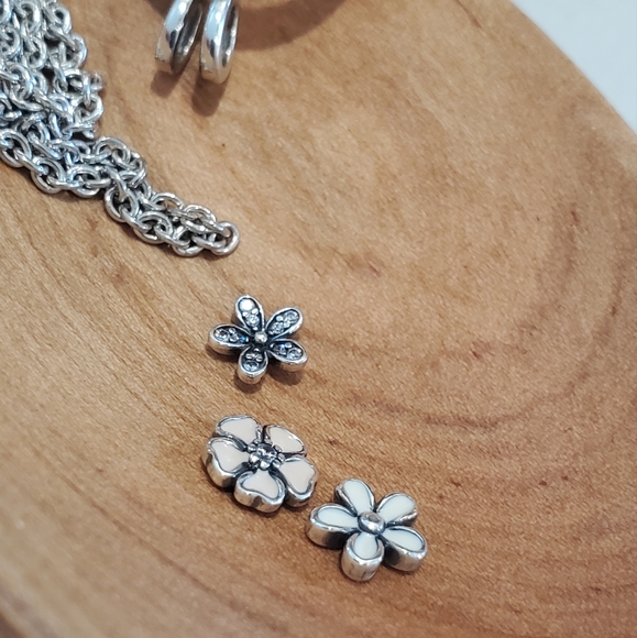 Pandora Floating Locket Necklace - Picture 7 of 14